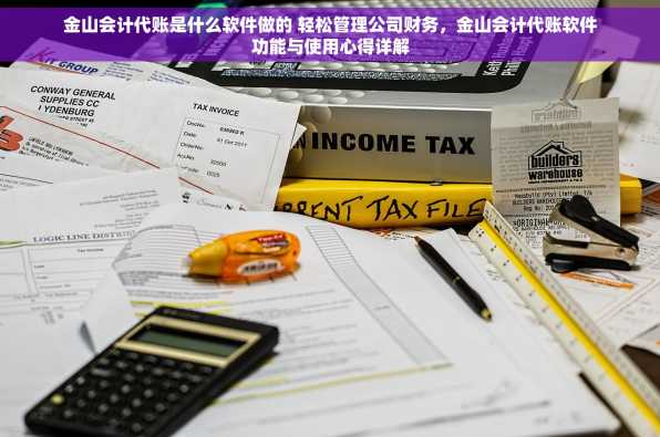 金山会计代账是什么软件做的 轻松管理公司财务，金山会计代账软件功能与使用心得详解
