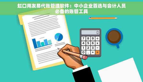 虹口用友易代账管理软件：中小企业首选与会计人员必备的账管工具
