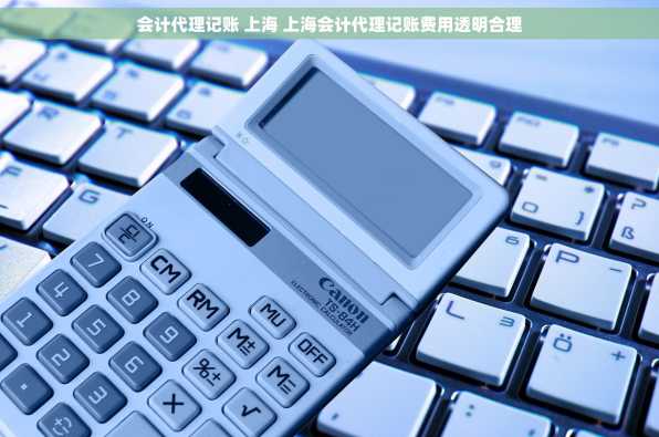 会计代理记账 上海 上海会计代理记账费用透明合理