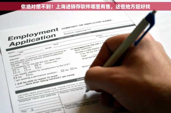 你绝对想不到！上海进销存软件哪里有售，这些地方超好找