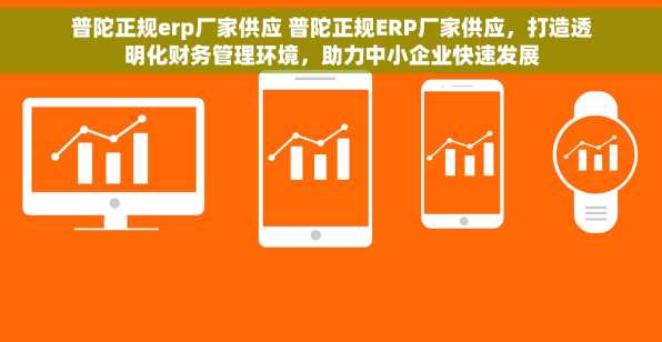 普陀正规erp厂家供应 普陀正规ERP厂家供应，打造透明化财务管理环境，助力中小企业快速发展