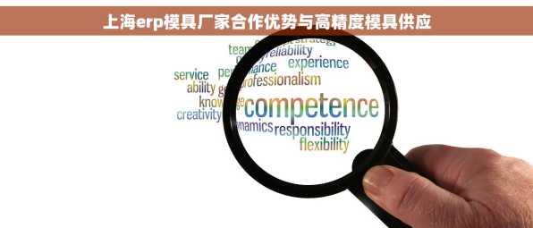 上海erp模具厂家合作优势与高精度模具供应