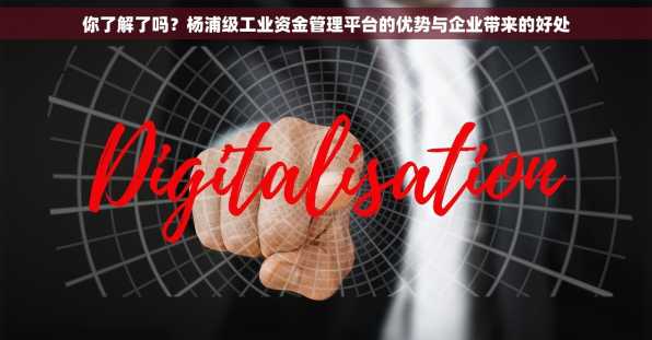 你了解了吗？杨浦级工业资金管理平台的优势与企业带来的好处