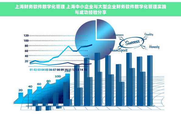 上海财务软件数字化管理 上海中小企业与大型企业财务软件数字化管理实践与成功经验分享