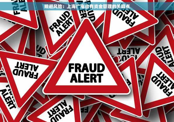 规避风险：上海广电自有资金管理的关键点