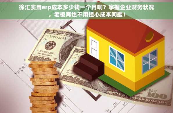 徐汇实用erp成本多少钱一个月啊？掌握企业财务状况，老板再也不用担心成本问题！
