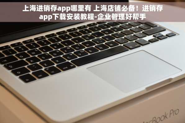 上海进销存app哪里有 上海店铺必备！进销存app下载安装教程-企业管理好帮手