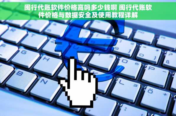 闽行代账软件价格高吗多少钱啊 闽行代账软件价格与数据安全及使用教程详解