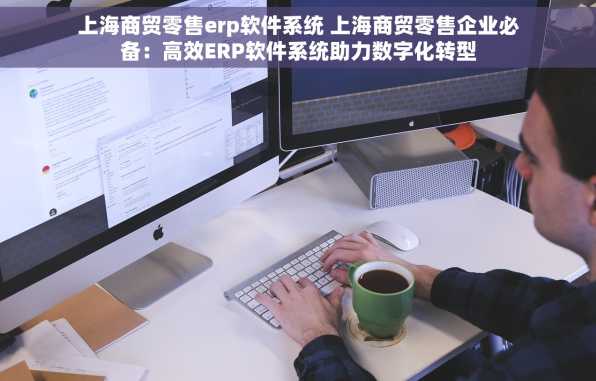 上海商贸零售erp软件系统 上海商贸零售企业必备：高效ERP软件系统助力数字化转型