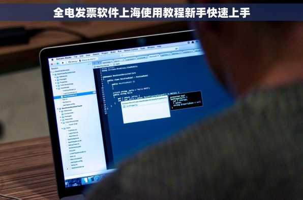 全电发票软件上海使用教程新手快速上手
