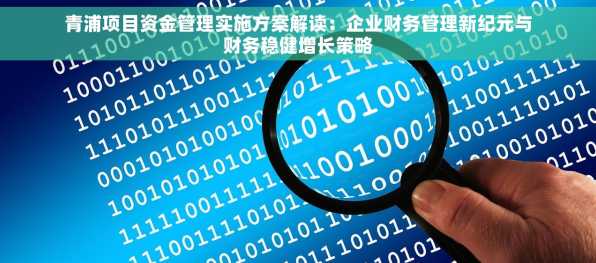 青浦项目资金管理实施方案解读：企业财务管理新纪元与财务稳健增长策略