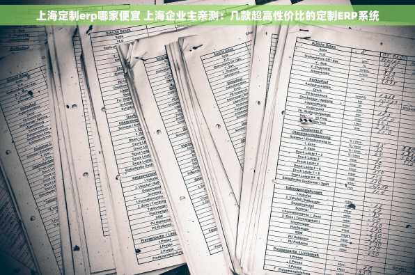上海定制erp哪家便宜 上海企业主亲测：几款超高性价比的定制ERP系统