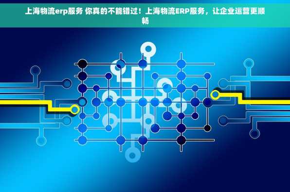 上海物流erp服务 你真的不能错过！上海物流ERP服务，让企业运营更顺畅