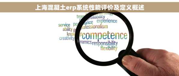 上海混凝土erp系统性能评价及定义概述