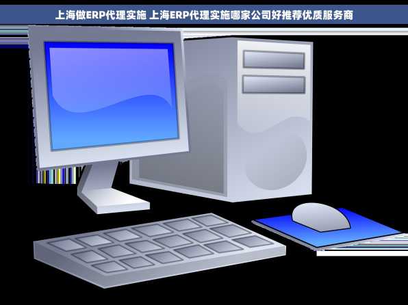 上海做ERP代理实施 上海ERP代理实施哪家公司好推荐优质服务商