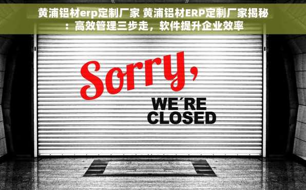 黄浦铝材erp定制厂家 黄浦铝材ERP定制厂家揭秘：高效管理三步走，软件提升企业效率