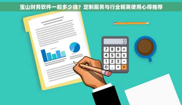 宝山财务软件一般多少钱？定制服务与行业精英使用心得推荐