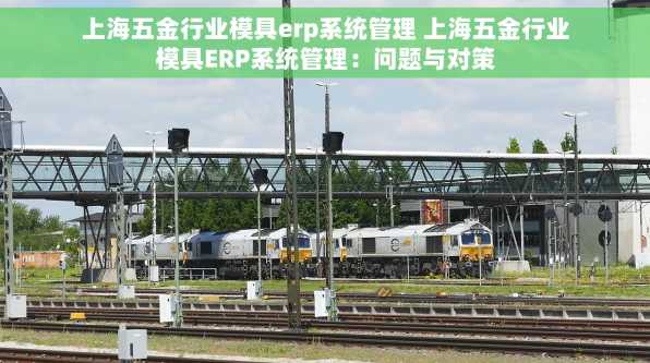 上海五金行业模具erp系统管理 上海五金行业模具ERP系统管理：问题与对策