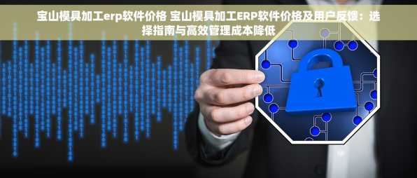 宝山模具加工erp软件价格 宝山模具加工ERP软件价格及用户反馈：选择指南与高效管理成本降低