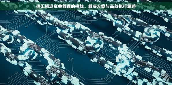 徐汇腾退资金管理的挑战、解决方案与高效执行策略