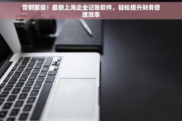 告别繁琐！最新上海企业记账软件，轻松提升财务管理效率