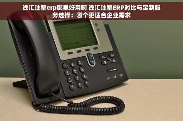 徐汇注塑erp哪里好用啊 徐汇注塑ERP对比与定制服务选择：哪个更适合企业需求