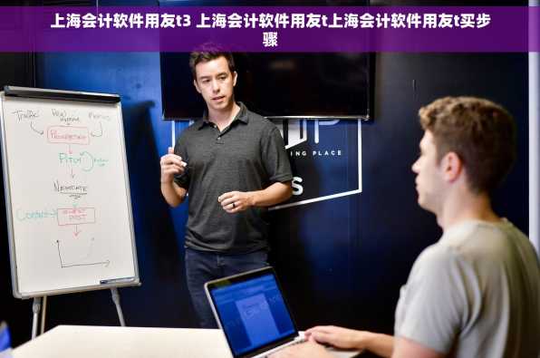 上海会计软件用友t3 上海会计软件用友t上海会计软件用友t买步骤