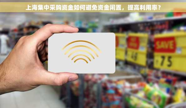 上海集中采购资金如何避免资金闲置，提高利用率？