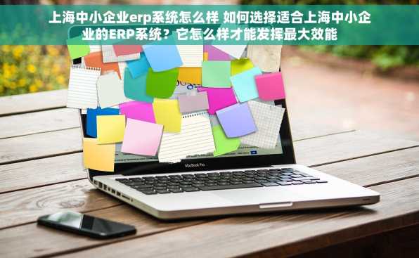 上海中小企业erp系统怎么样 如何选择适合上海中小企业的ERP系统？它怎么样才能发挥最大效能