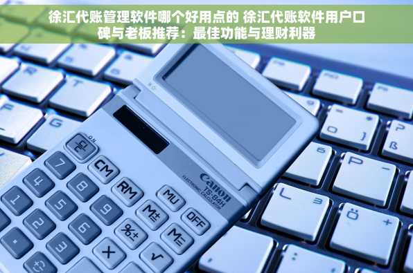 徐汇代账管理软件哪个好用点的 徐汇代账软件用户口碑与老板推荐：最佳功能与理财利器