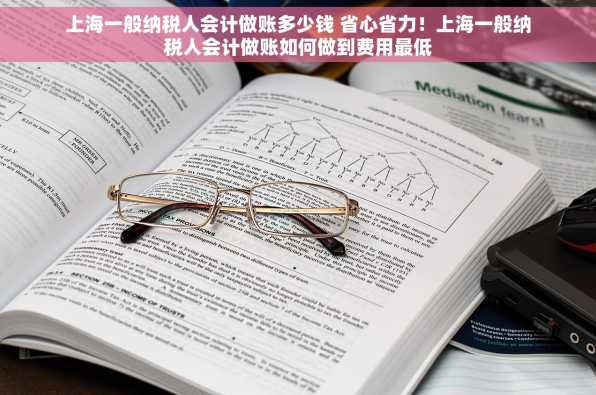 上海一般纳税人会计做账多少钱 省心省力！上海一般纳税人会计做账如何做到费用最低
