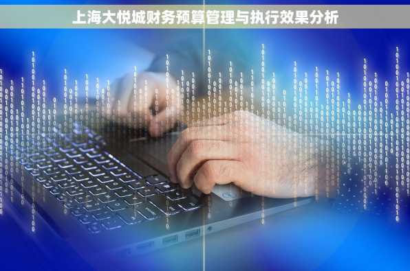 上海大悦城财务预算管理与执行效果分析