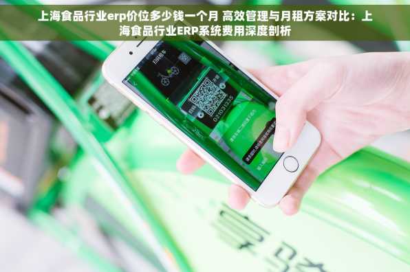 上海食品行业erp价位多少钱一个月 高效管理与月租方案对比：上海食品行业ERP系统费用深度剖析