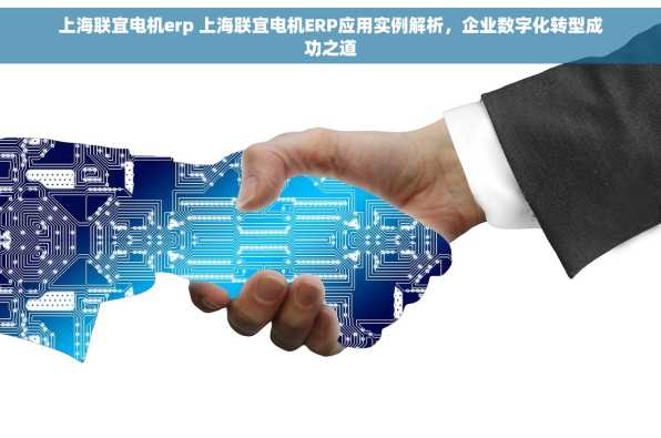 上海联宜电机erp 上海联宜电机ERP应用实例解析，企业数字化转型成功之道