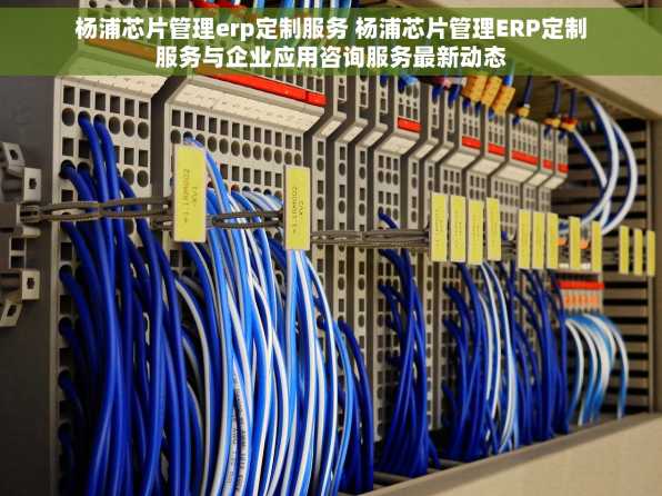 杨浦芯片管理erp定制服务 杨浦芯片管理ERP定制服务与企业应用咨询服务最新动态