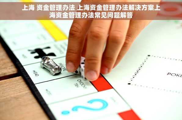 上海 资金管理办法 上海资金管理办法解决方案上海资金管理办法常见问题解答