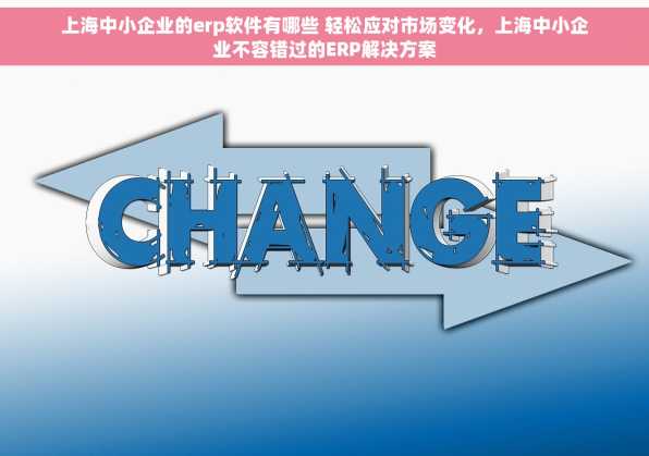 上海中小企业的erp软件有哪些 轻松应对市场变化，上海中小企业不容错过的ERP解决方案
