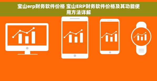 宝山erp财务软件价格 宝山ERP财务软件价格及其功能使用方法详解