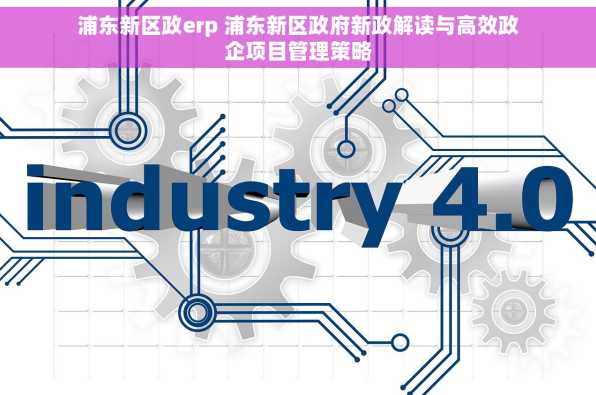 浦东新区政erp 浦东新区政府新政解读与高效政企项目管理策略