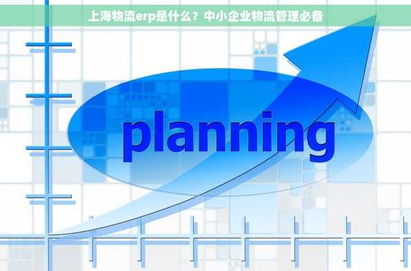 上海物流erp是什么？中小企业物流管理必备