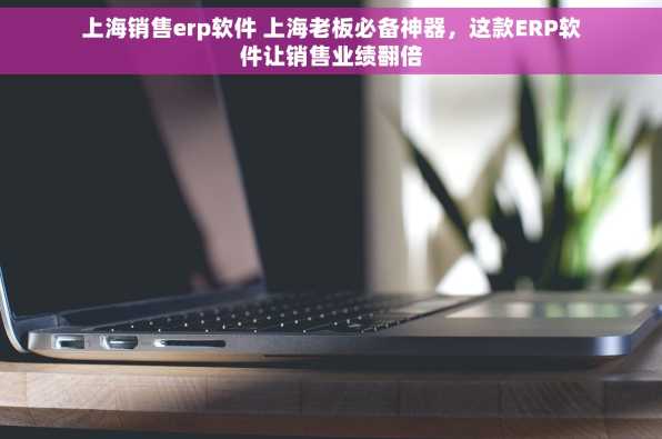 上海销售erp软件 上海老板必备神器，这款ERP软件让销售业绩翻倍