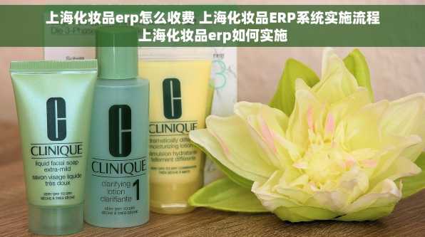 上海化妆品erp怎么收费 上海化妆品ERP系统实施流程上海化妆品erp如何实施