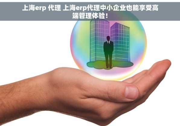 上海erp 代理 上海erp代理中小企业也能享受高端管理体验！