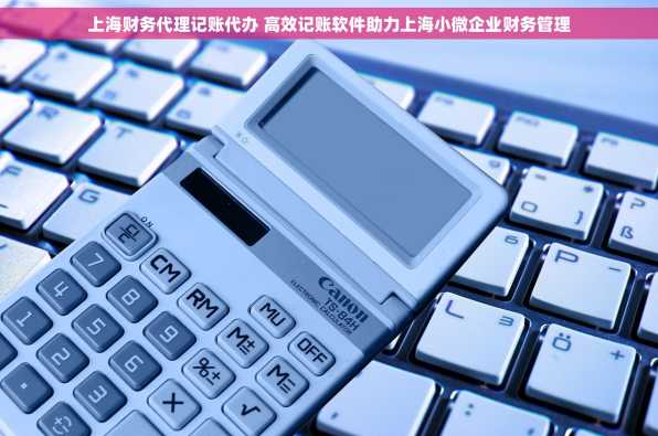 上海财务代理记账代办 高效记账软件助力上海小微企业财务管理