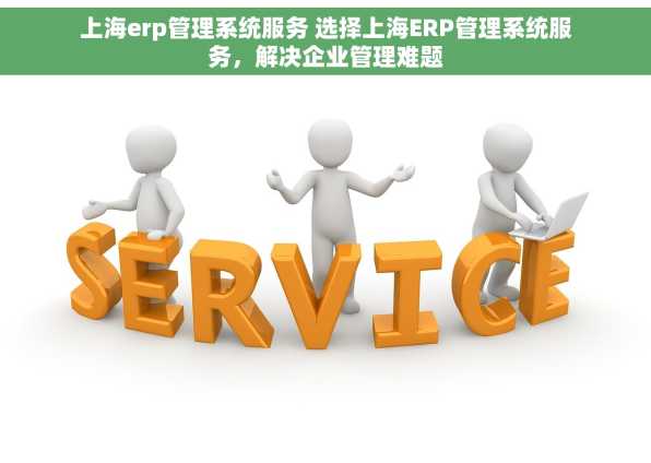 上海erp管理系统服务 选择上海ERP管理系统服务，解决企业管理难题