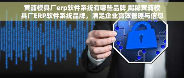 黄浦模具厂erp软件系统有哪些品牌 揭秘黄浦模具厂ERP软件系统品牌，满足企业高效管理与信息化建设需求