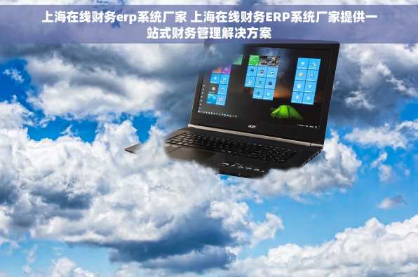 上海在线财务erp系统厂家 上海在线财务ERP系统厂家提供一站式财务管理解决方案