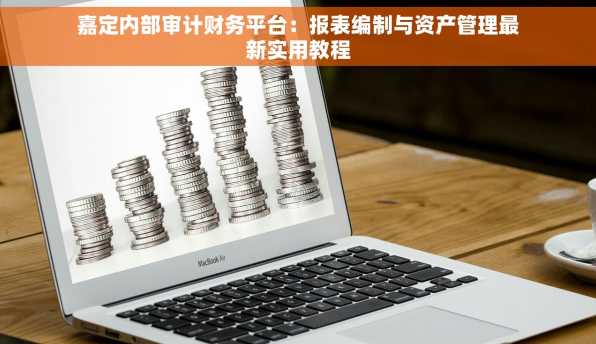 嘉定内部审计财务平台：报表编制与资产管理最新实用教程