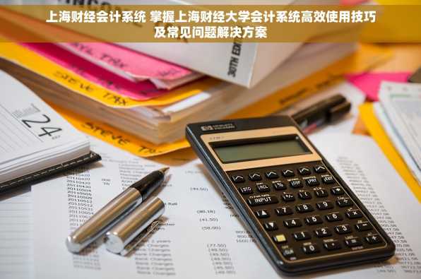 上海财经会计系统 掌握上海财经大学会计系统高效使用技巧及常见问题解决方案