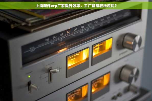 上海配件erp厂家提升效率，工厂管理轻松应对？